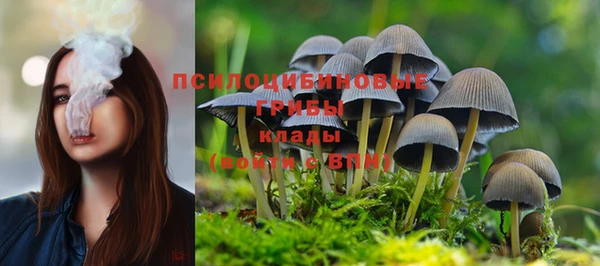 метадон Кукмор